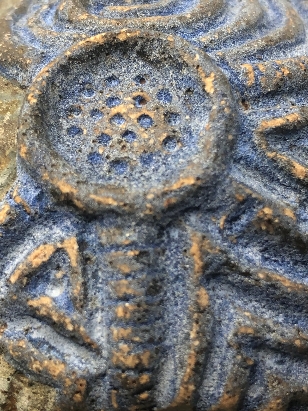 ブリコラージュマグ（縄文ー弥生） 梅本尋司 | kinjoショップ