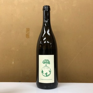 【販売条件付き】ヴァイングート　ヴェルリッチ　ドライジェネレーションワイン　2021　
