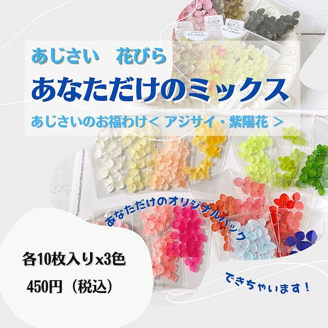 あなただけのミックス　各10枚 x お好きな3色　＜ アナベル ＞　あじさい　花びら　 ＜ アジサイ 紫陽花 ＞