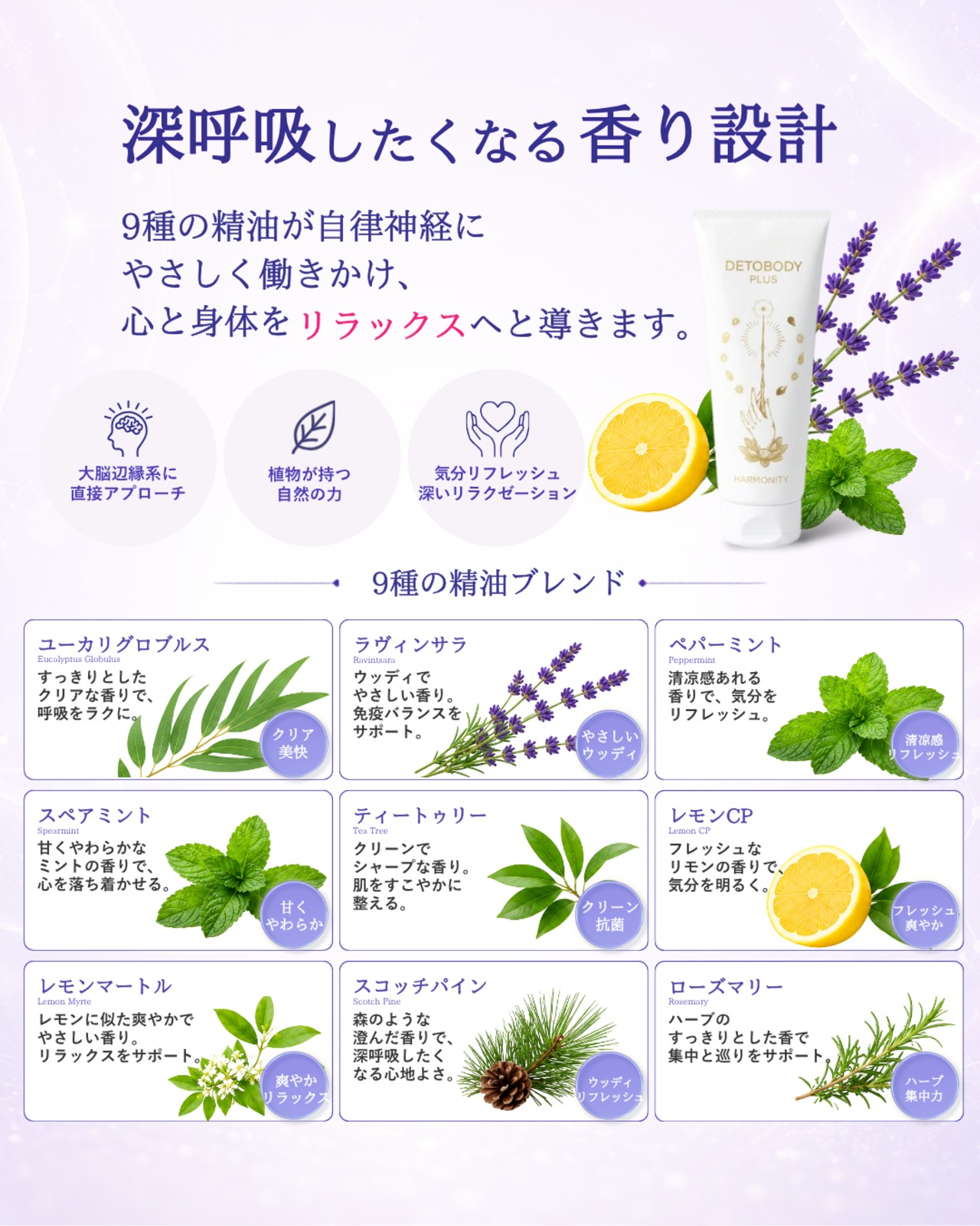 【新規取扱記念セット】 巡りも透明感も抜かりなく 巡環スタートセット