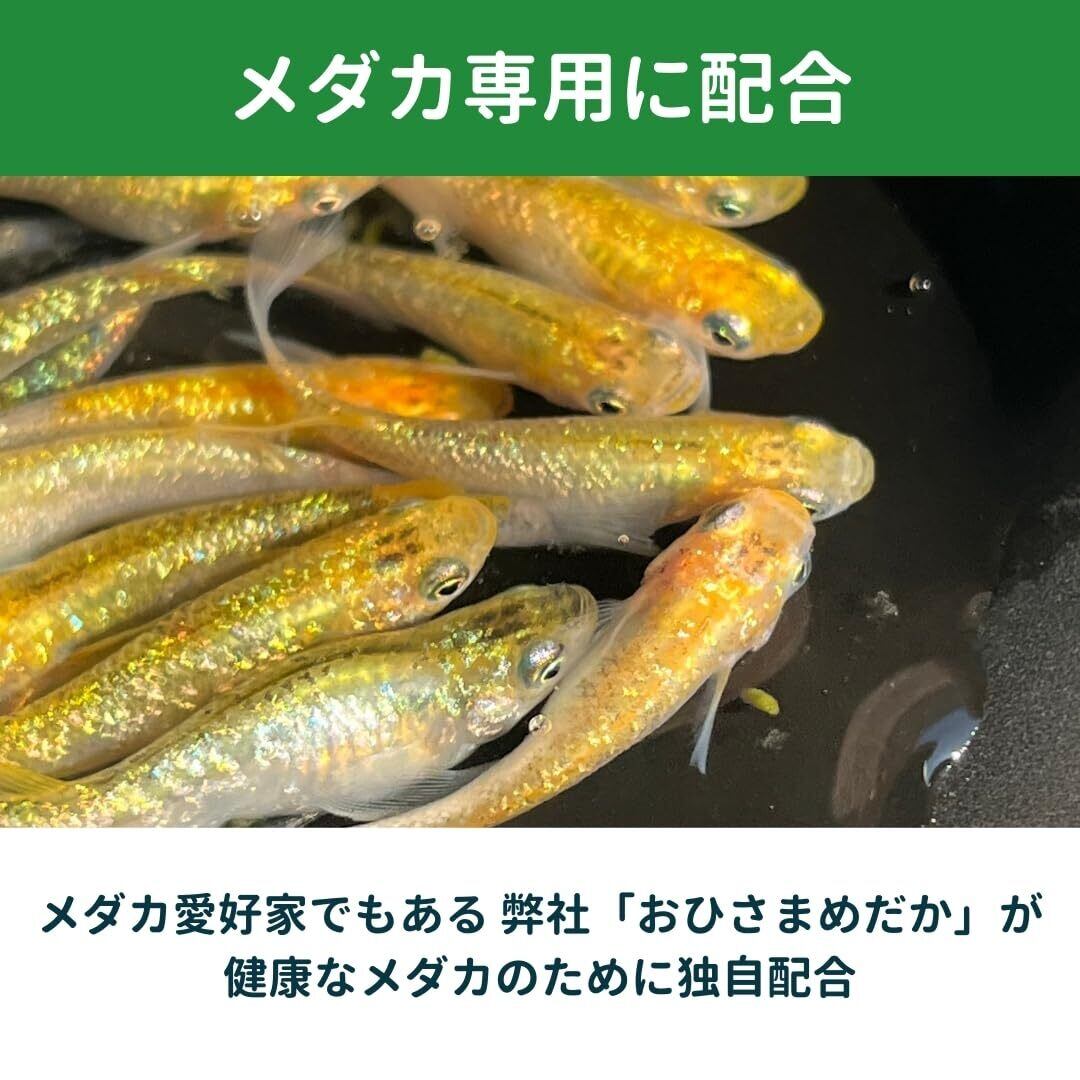 メダカ 餌 極粉末 (60g: 針子 稚魚 用) 微粉末 初期育成餌 孵化直後