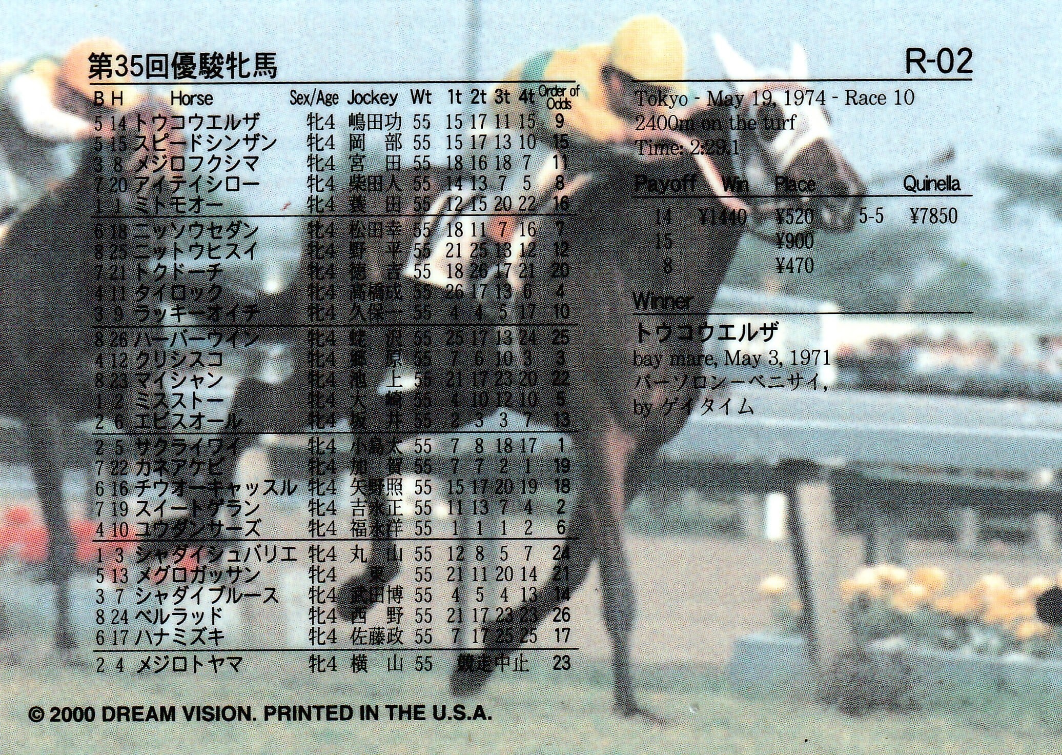 第35回優駿牝馬：トウコウエルザ(Dream)「The Victory 2000」R-02 | PAY ID