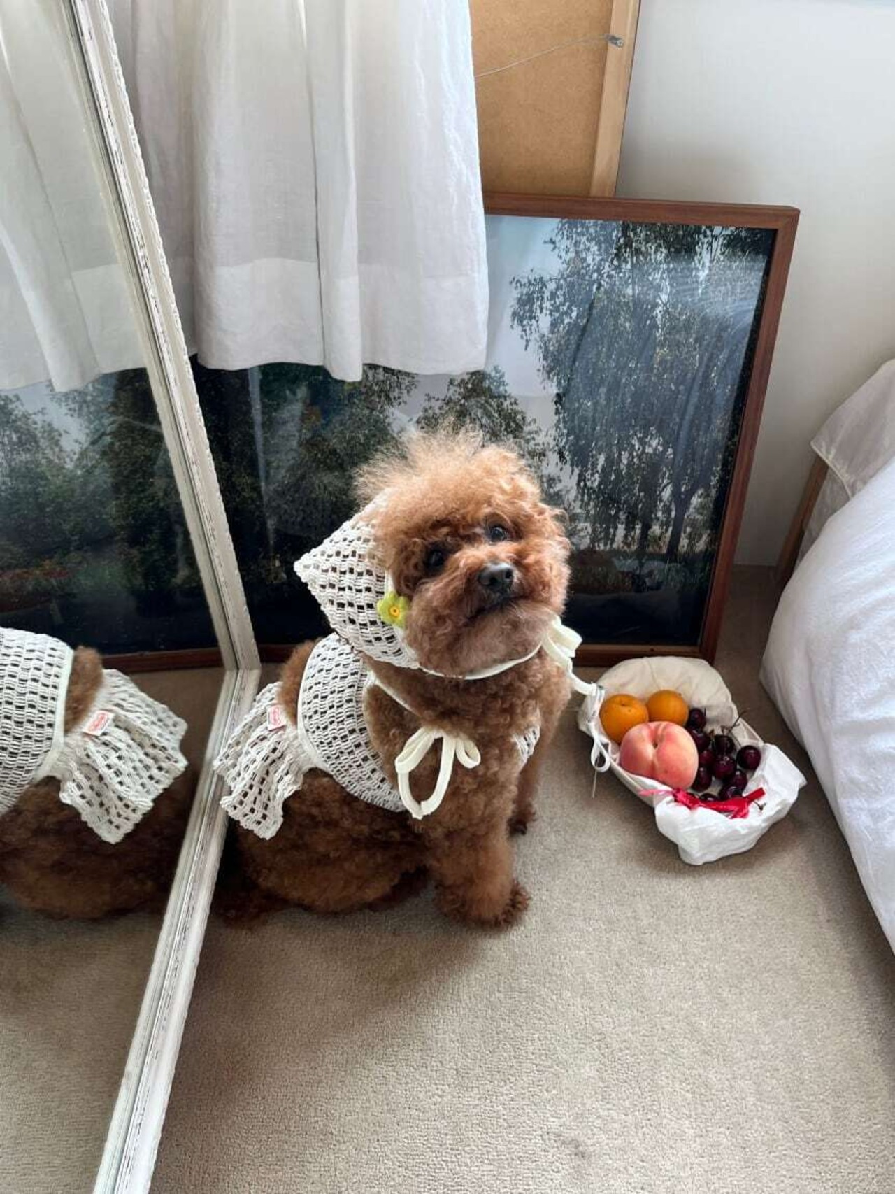 予約【pecoramou select】cottage series Babushka (hat)