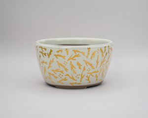 KINSAI POT / 金彩絵付鉢 (一点物)