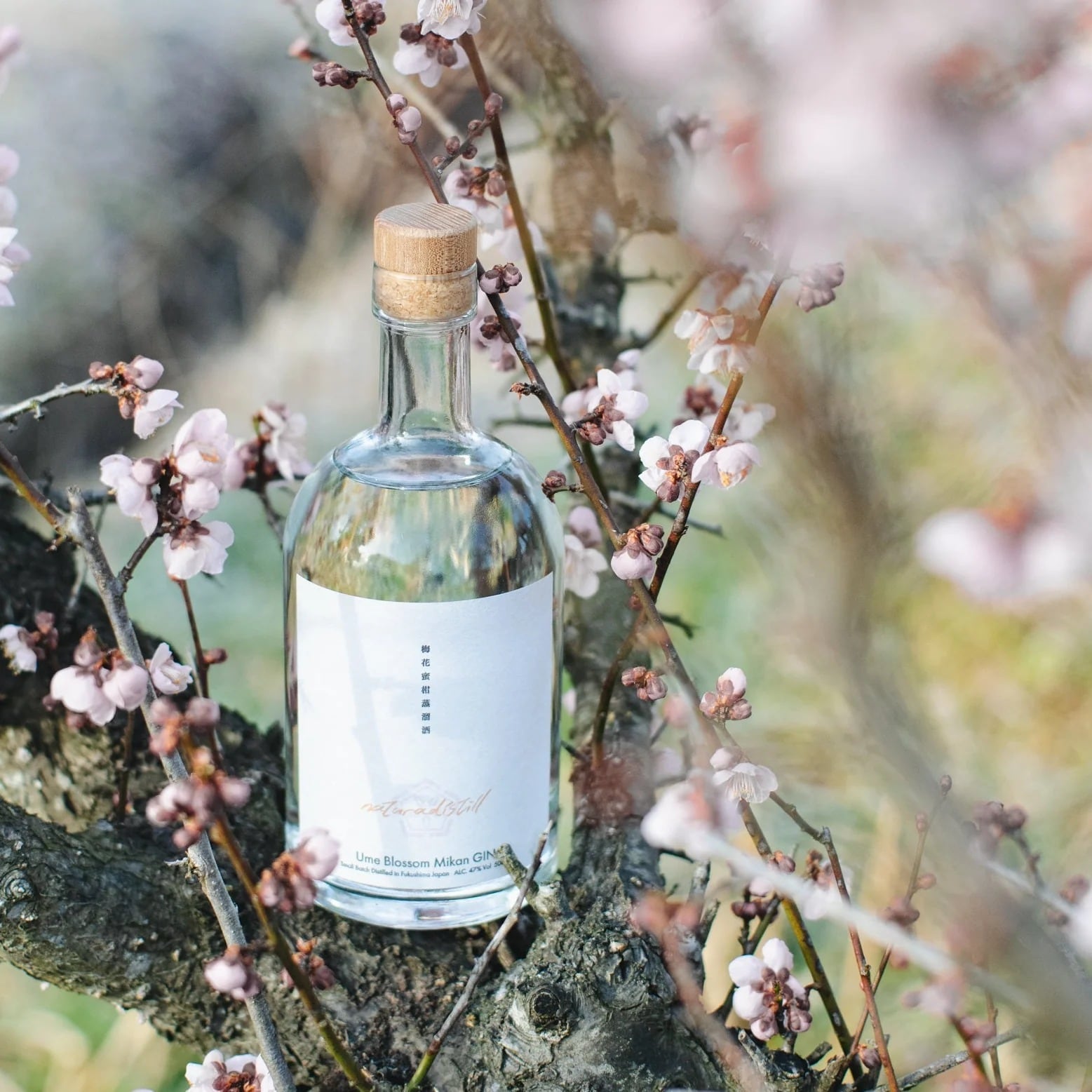 naturadistill 梅花蜜柑蒸溜酒 Ume blossom Mikan GIN / ナチュラディ