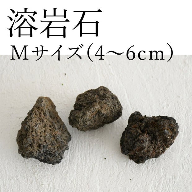 溶岩石　Mサイズ（４〜６ｃｍ）２〜３個入り【レイアウト用・着生用】