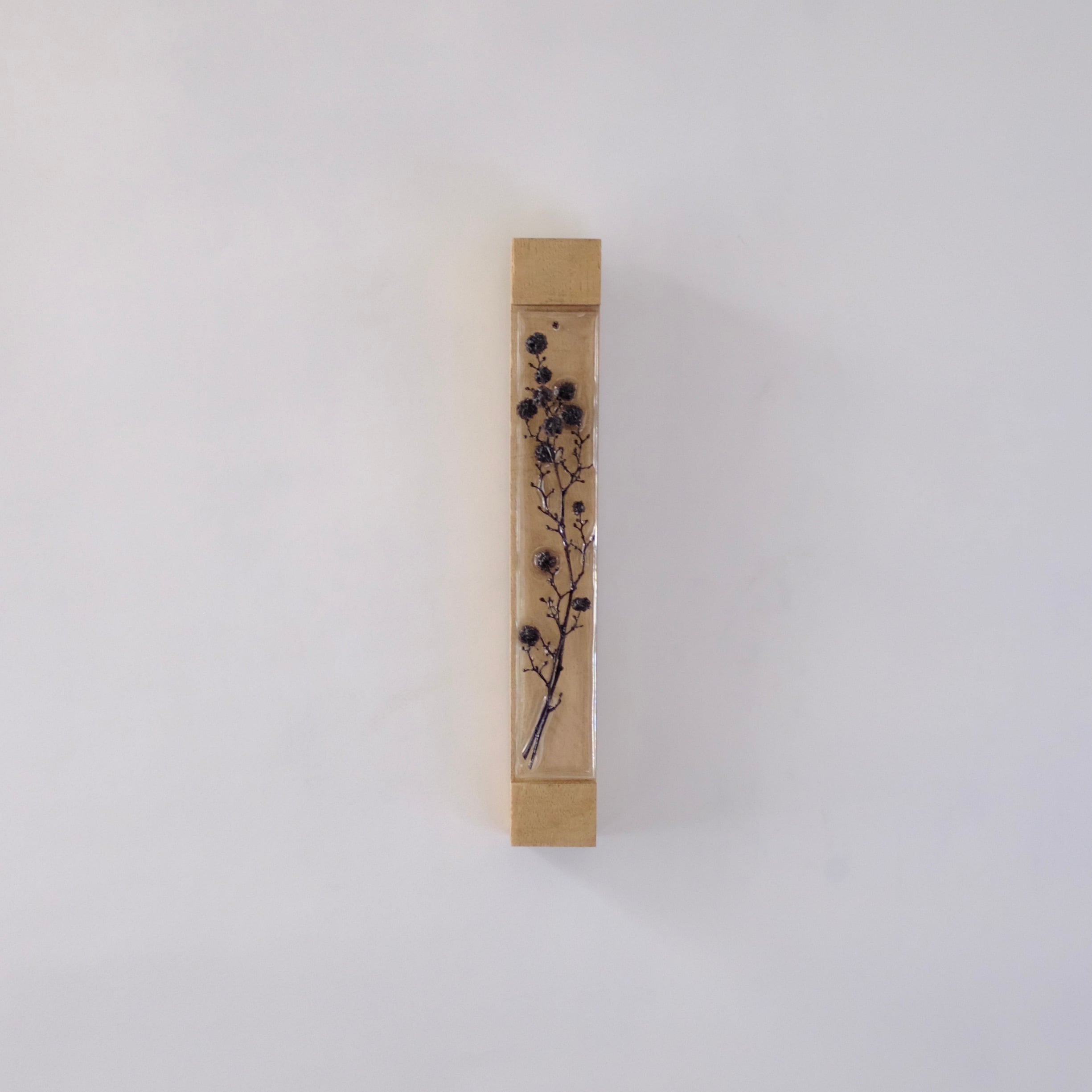 TANZAKU スターリンジア | toevalling