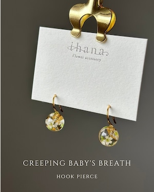 creeping baby's breath hook pierce 【数量限定】