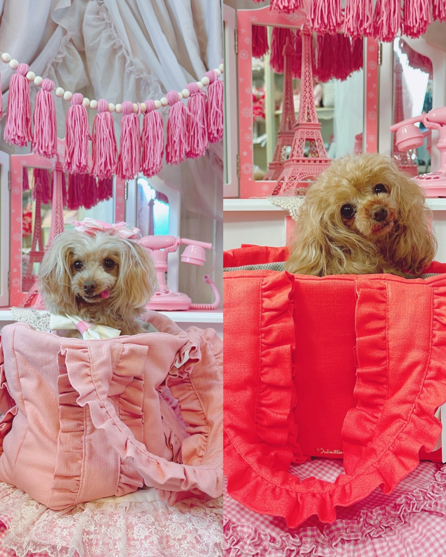 最終価格】Fifi & Romeo ドッグキャリーバッグ