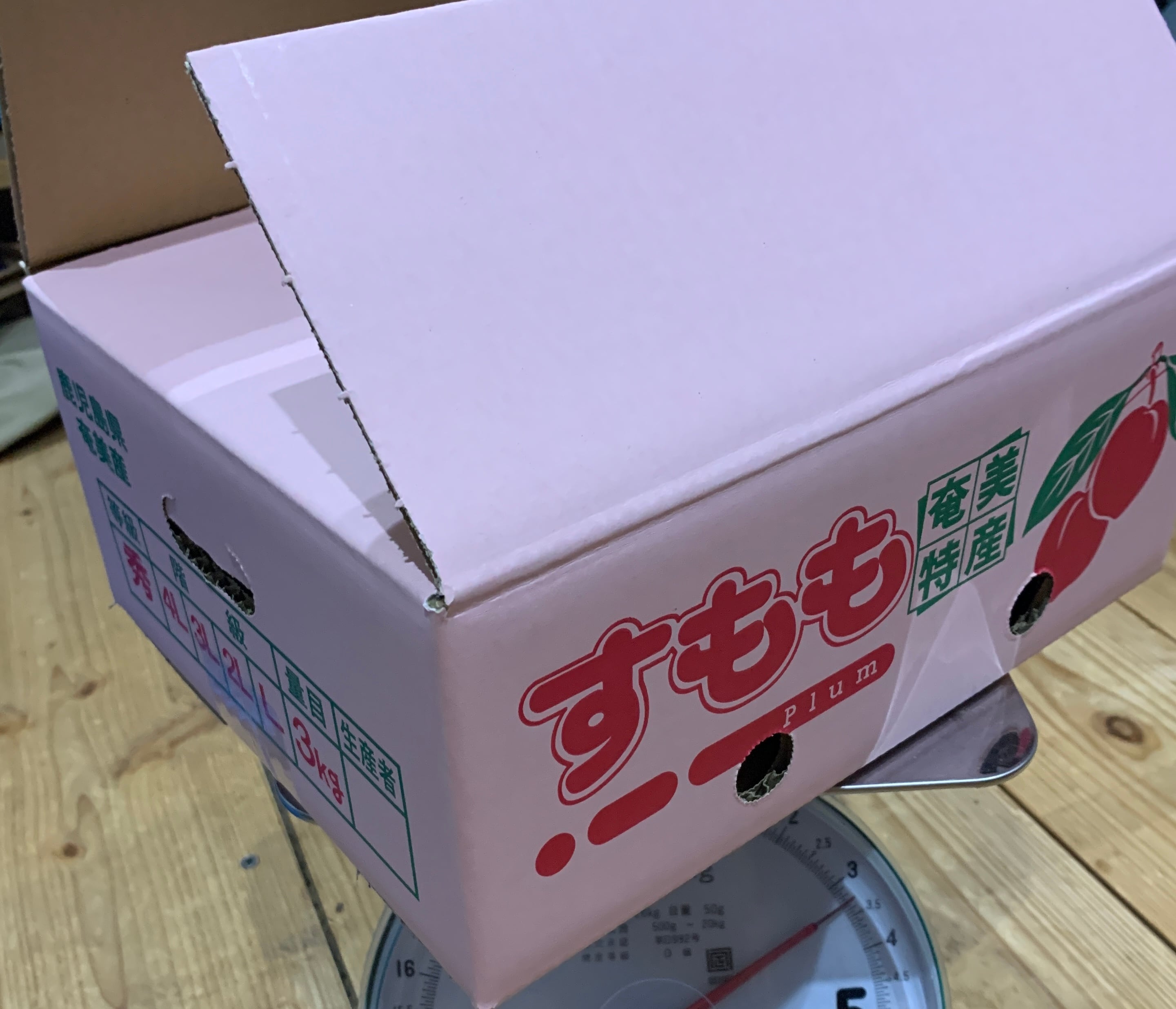 ☆2026年産 先行予約中☆】奄美すもも♪（3kg） | 奄美大島のフルーツ