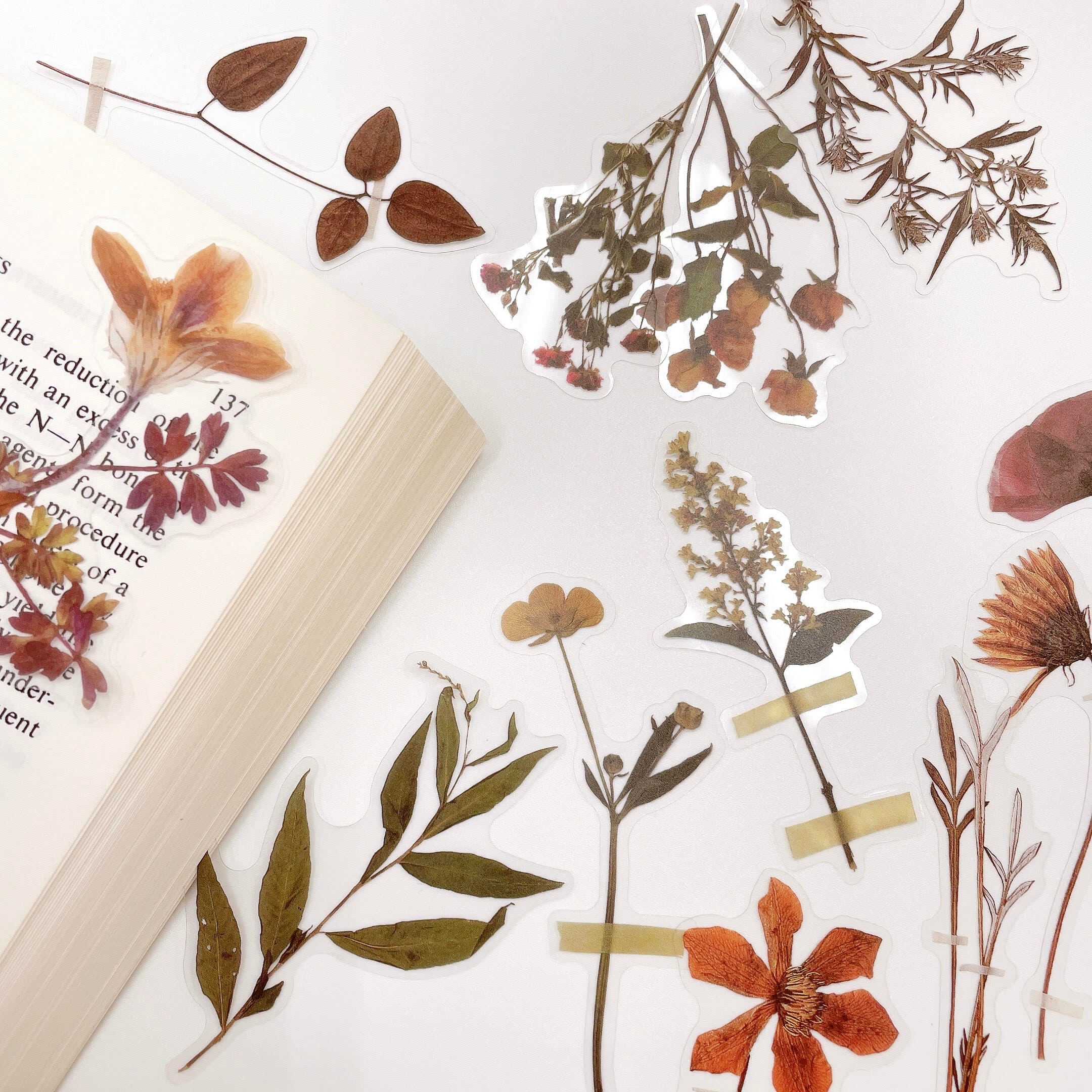 ドライフラワー 押し花 クリア ステッカー】40枚入 装飾 シール