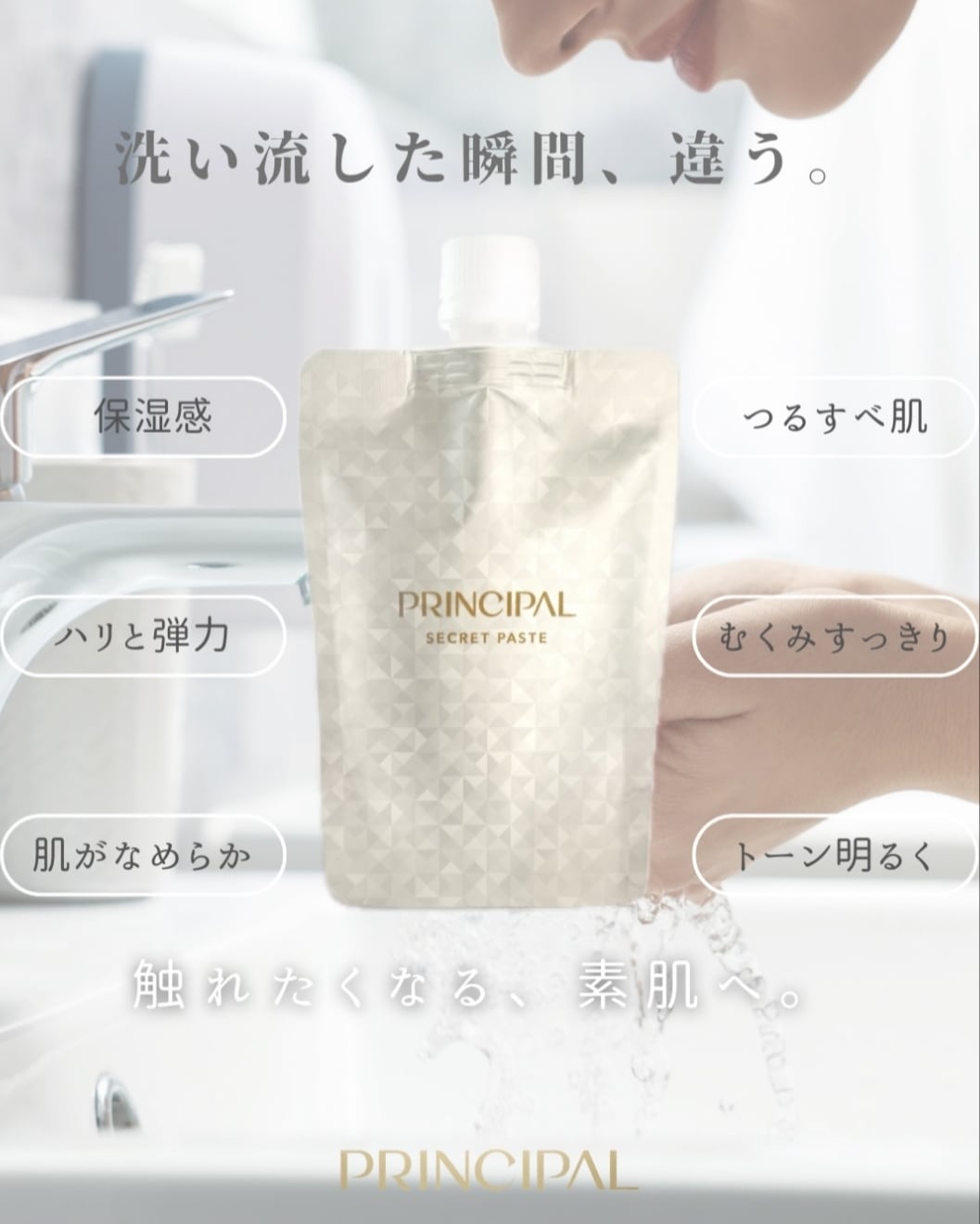 プリンシパル シークレットペースト 約50日分 100g［炭酸ガス
