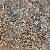 ウォレット ステルス エレファント 【手染めブラウン】