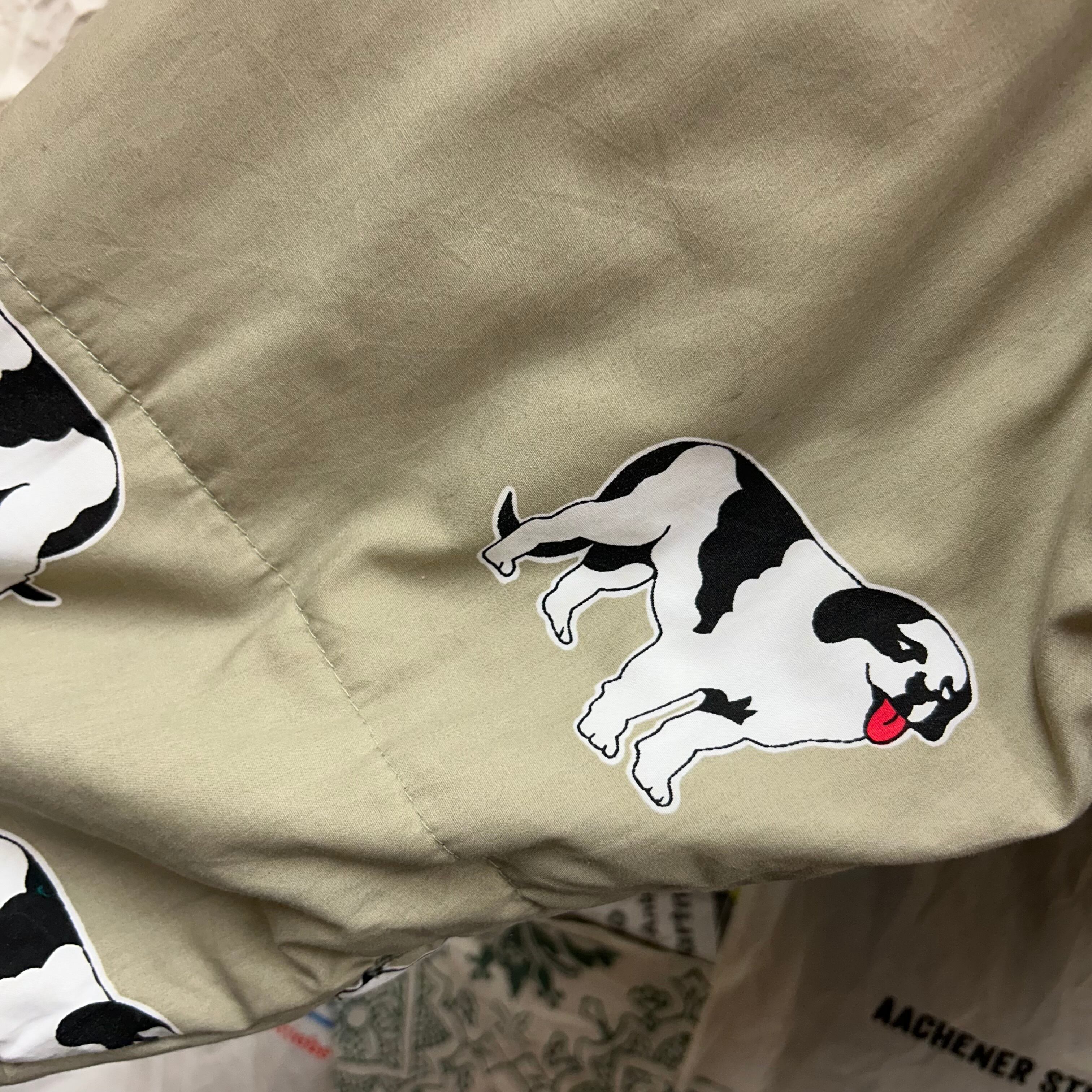 90s BIG DOGS リバーシブルダウンジャケット | 古着屋PENNY
