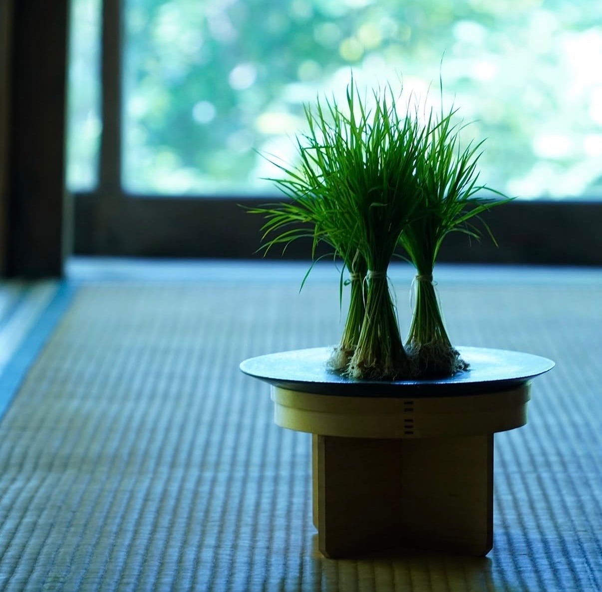 季節のしつらいと花 【十二回稽古】動画稽古(一括払い)