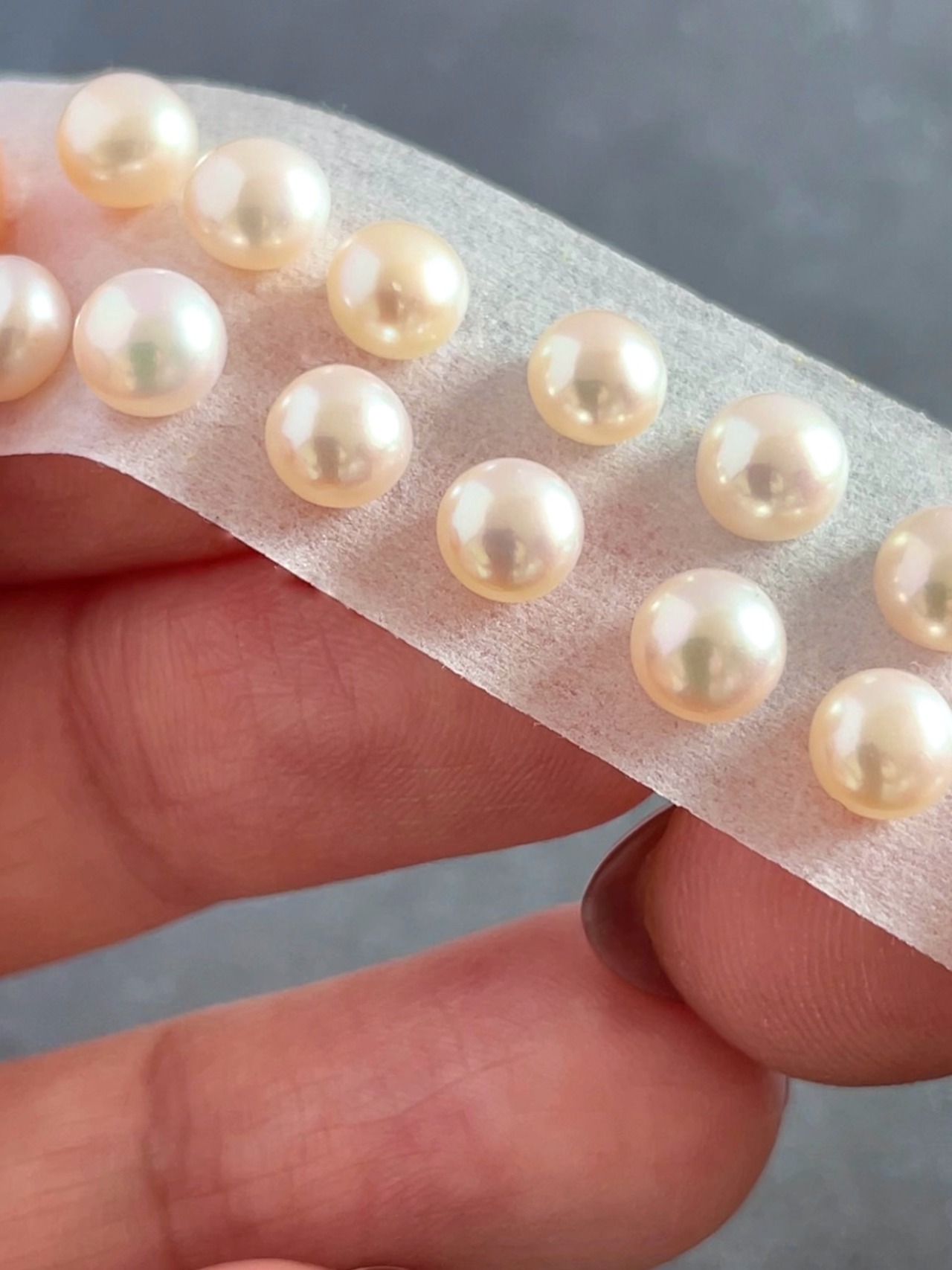 春の訪れ　6点セット