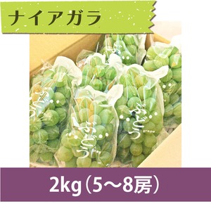 【ぶどう】ナイアガラ 2kg（5〜8房）