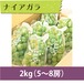 【ぶどう】ナイアガラ 2kg（5〜8房）