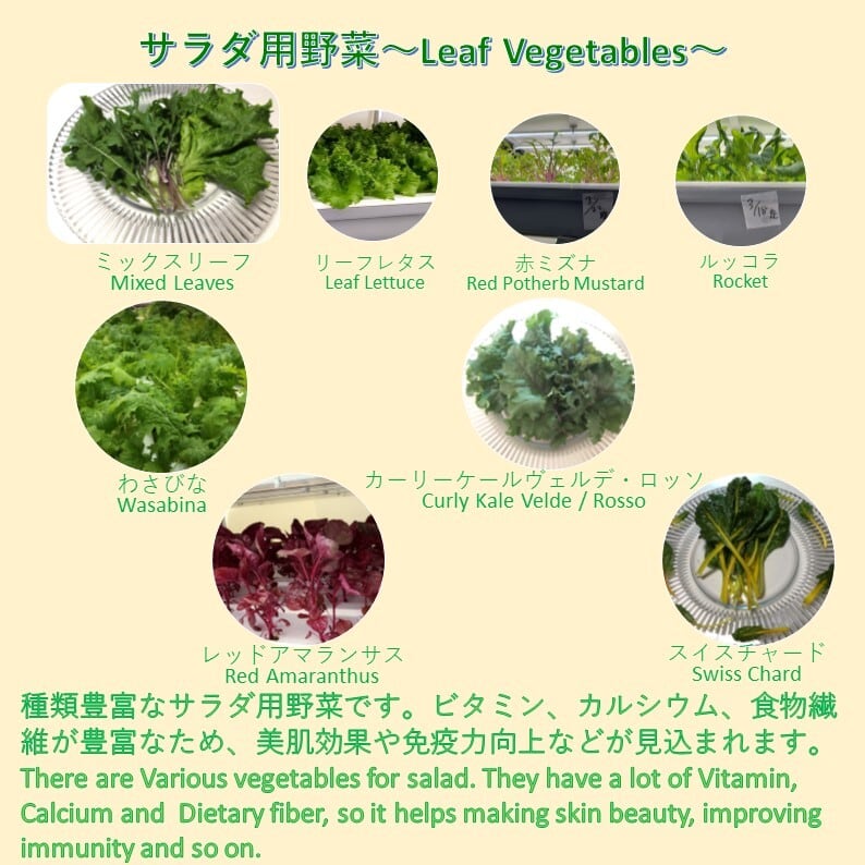 Clean　飛騨高山野菜『おおごっつぉ』ブーケサラダ　Leaf