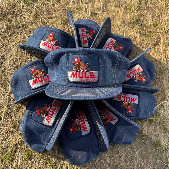 Pineapple Socks | White