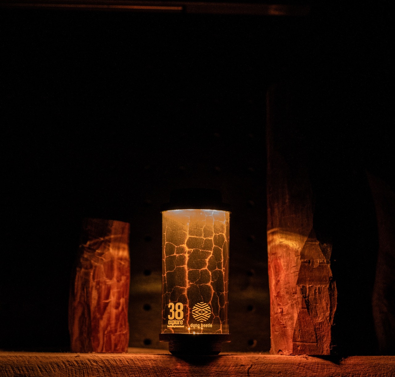 38-kT “OKIBI” 38explore × dung beetle