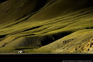 Landscape－65（ワイド四切）