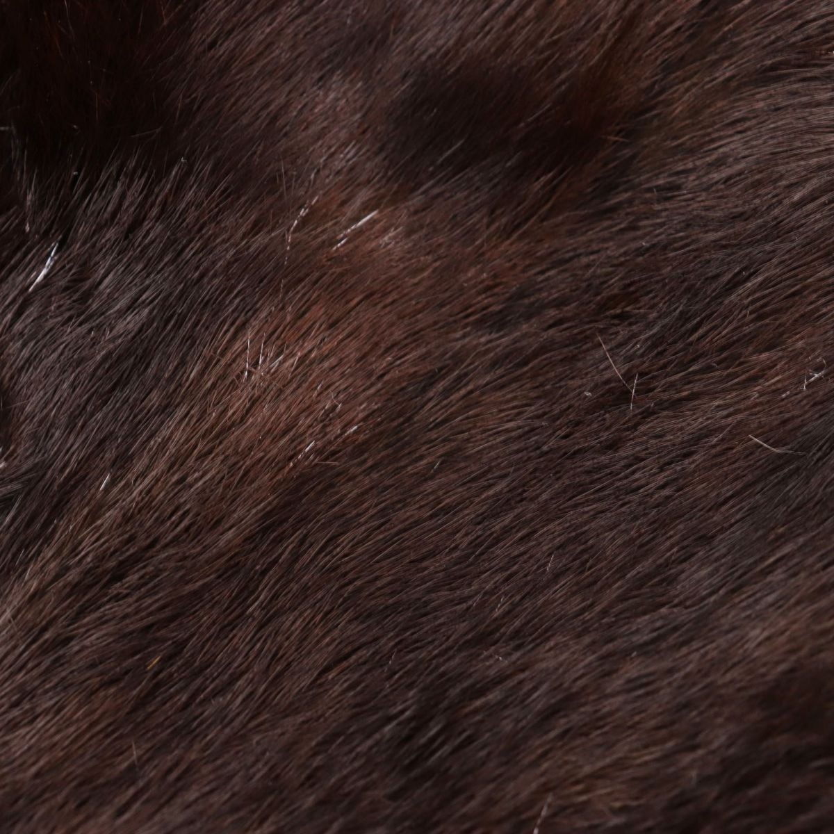 ミンクショール 黒と茶色の模様 レディース 