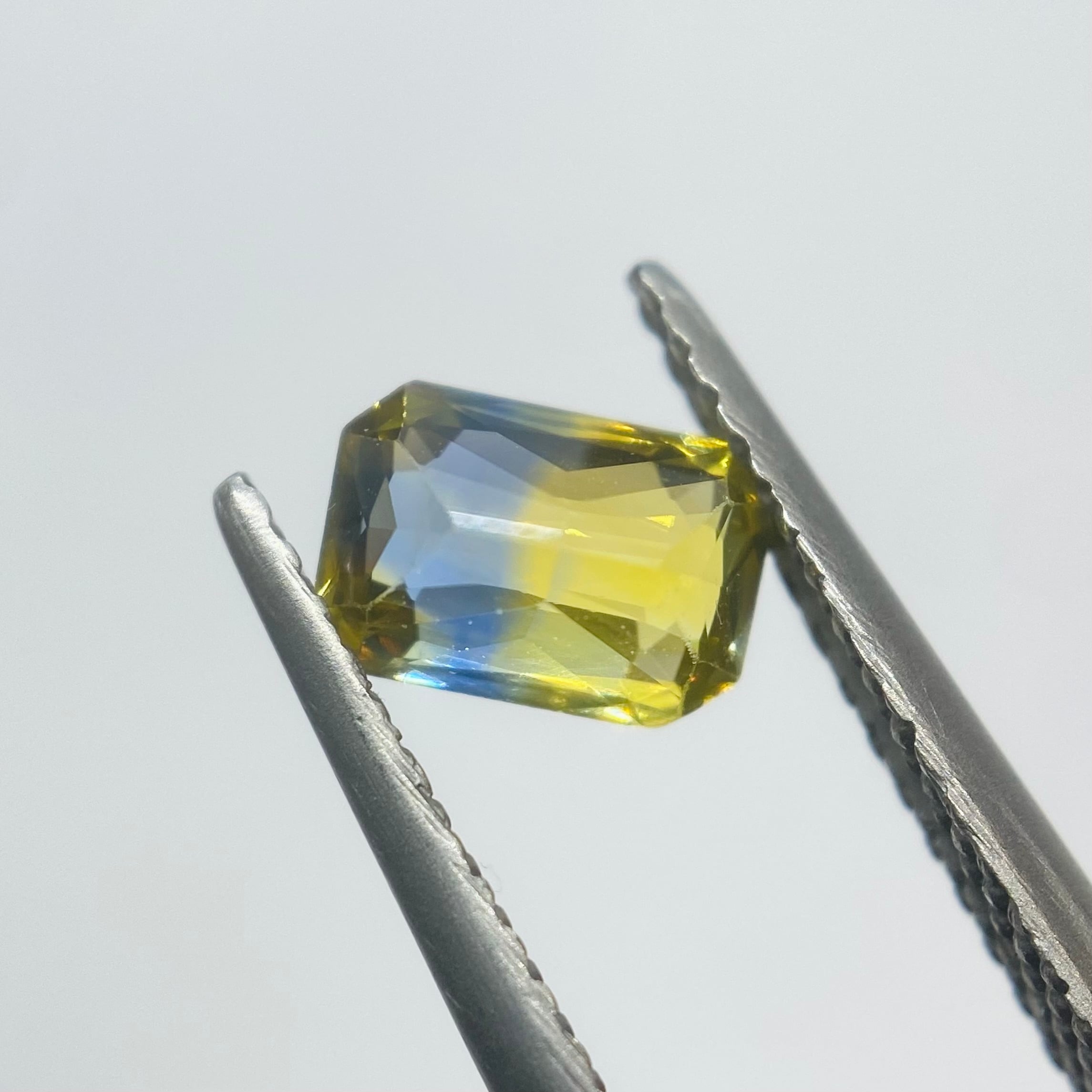 向日葵が見る夏空　バイカラーサファイア