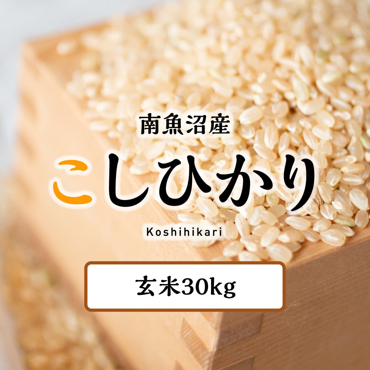 新米　令和5年度　新潟県産コシヒカリ30kg×10玄米