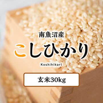 令和7年産 福島県いわき産コシヒカリ30kg玄米 | Pay ID