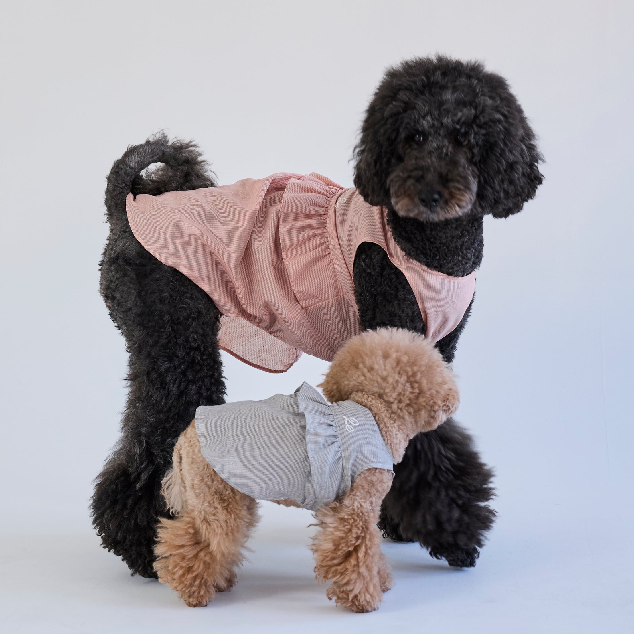 265513大型犬サイズ】ワンピース | 犬服ブランド 2e deuxieme cale
