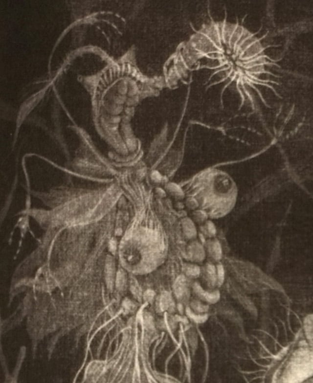 額装銅版画：魍魎のすみか（古事記より） | battelasaba