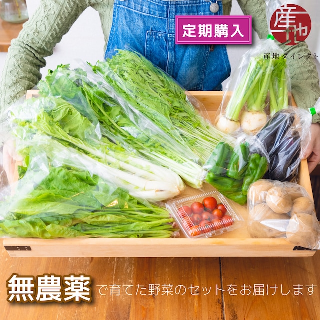 【定期購入】【送料無料】農薬を使わずに育てた「季節の野菜おまかせ詰め合わせ」【定期購入】