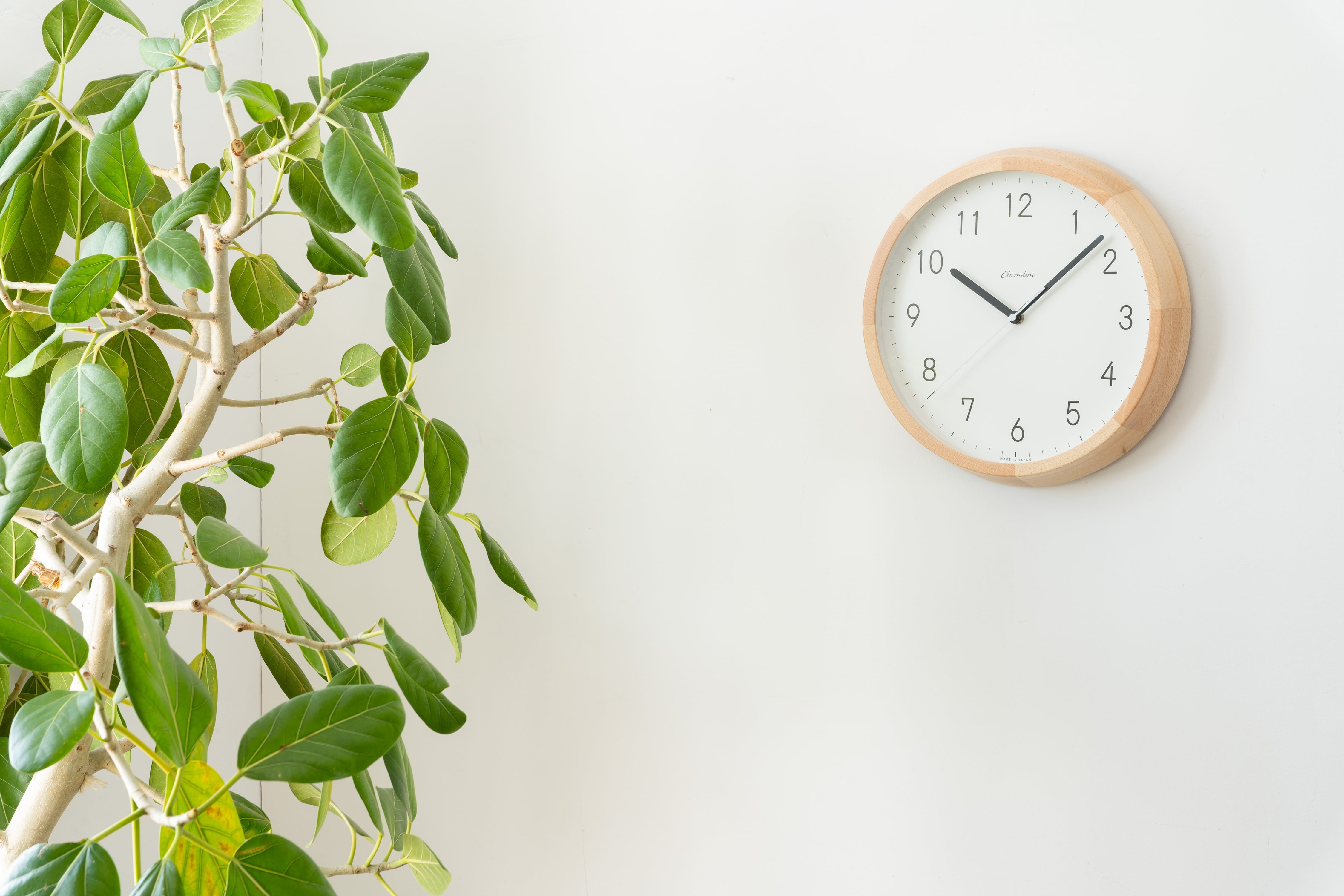 電波時計 BRUNCH CLOCK【NATURAL MILK】 | シャンブル【CHAMBRE 電波時計 BRUNCH CLOCK【NATURAL MILK】 | シャンブル【CHAMBRE