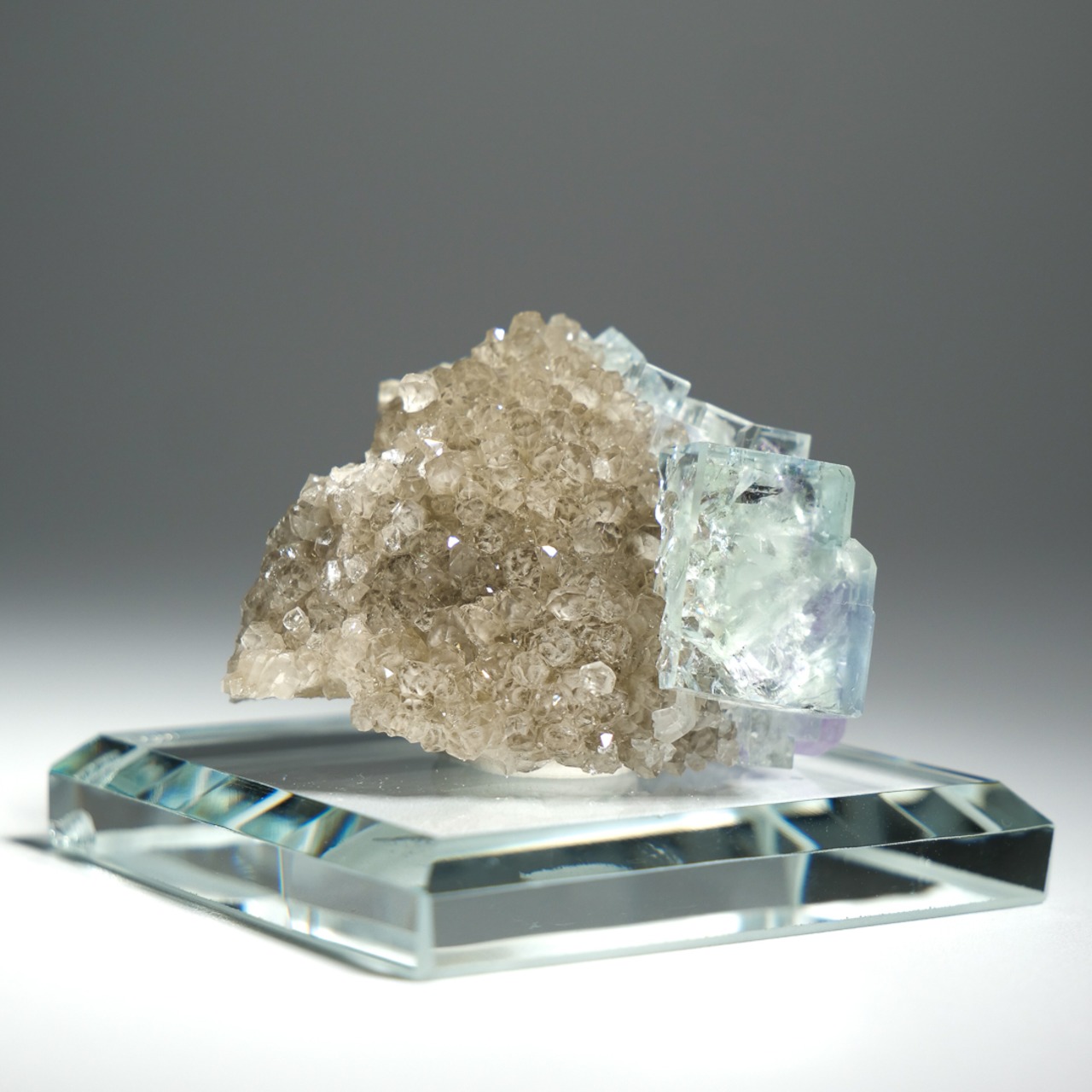 シャンファーリン産 フローライト スモーキークォーツ 共生 / 原石 標本【D_1】