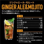 ウィルキンソン アサヒ飲料 ジンジャエール 500ml×24本 [有糖] [辛口]