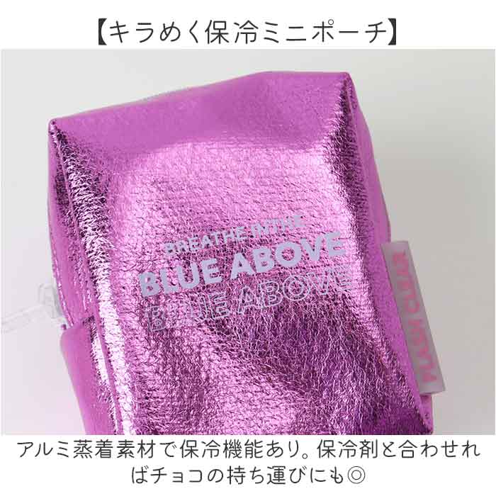 保冷ポーチ ミニサイズ 通販 保冷 ミニ ミニポーチ 小物入れ カラビナ