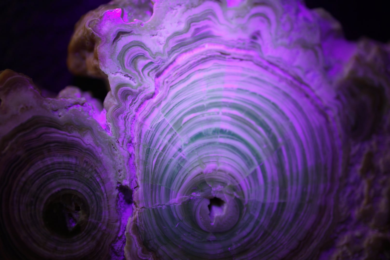 モロッコ産カルサイト/アラゴナイト Calcite / Aragonite 1861 | 叙景