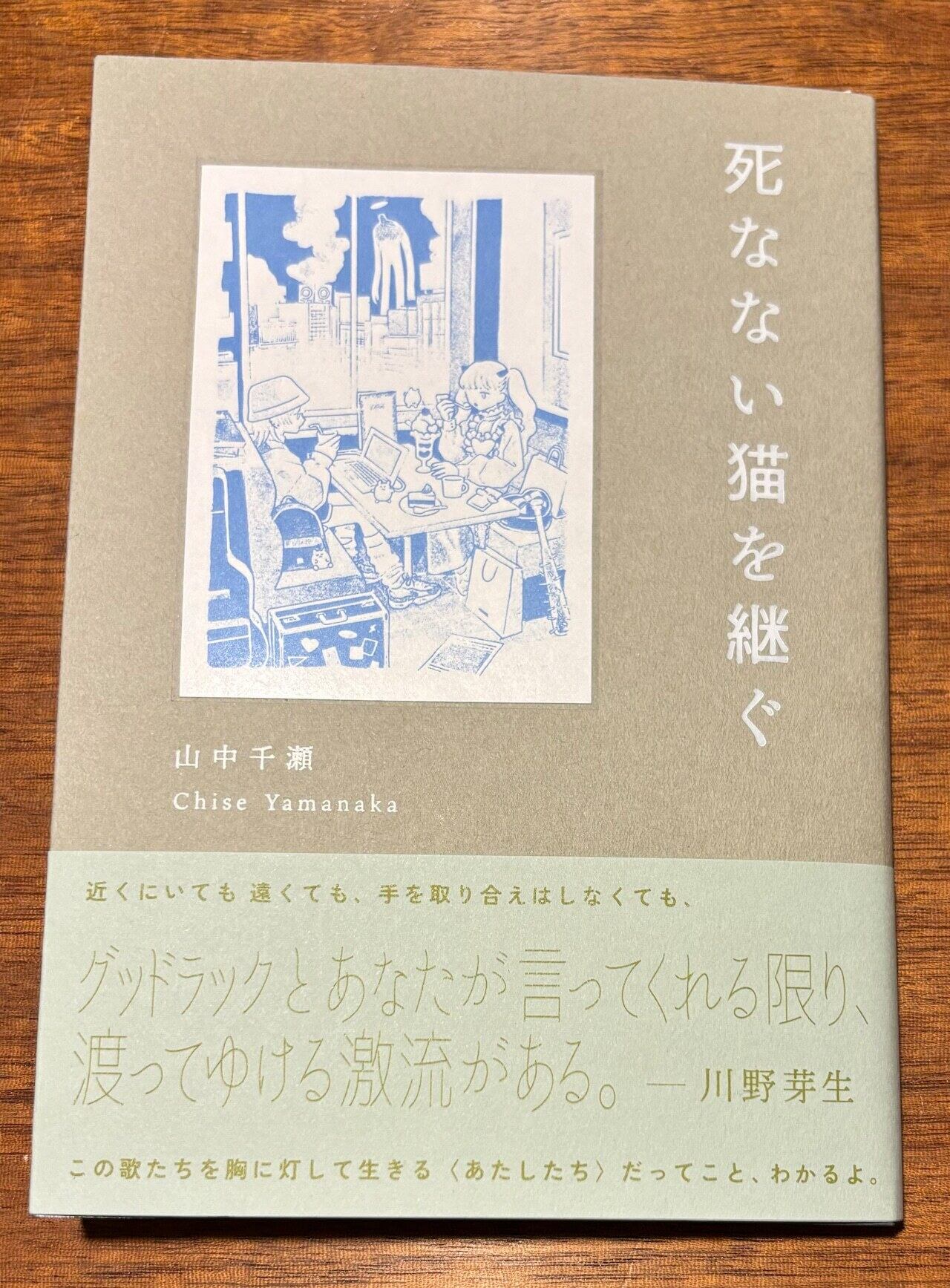 種田山頭火句集 復刻版 全七巻 別冊解説付 限定480部 木村緑平 種田山頭火句集 復刻版 全七巻 別冊解説付 限定480部 木村緑平 種田