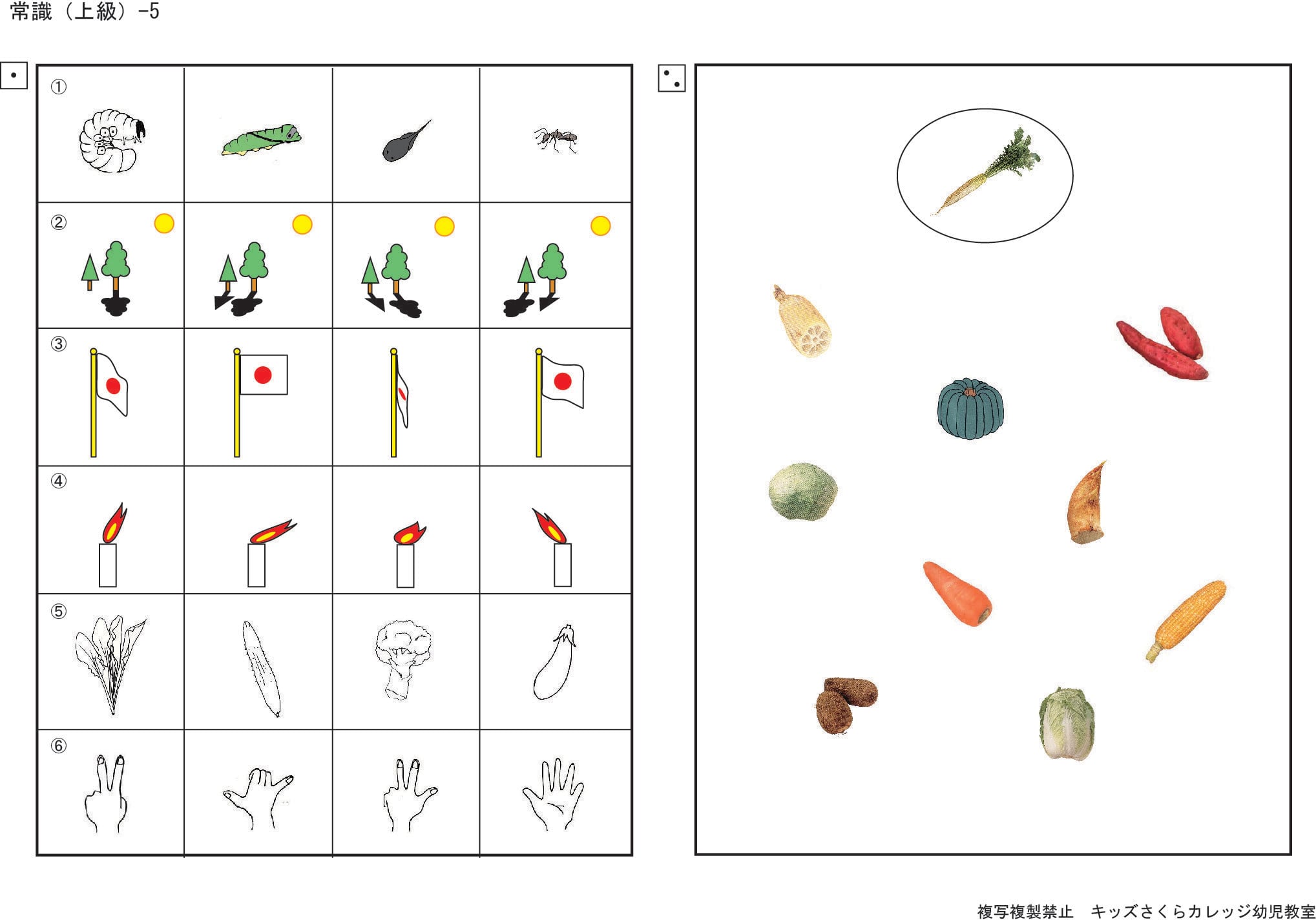 小学校入試分野別問題 常識 上級 | kidscollege