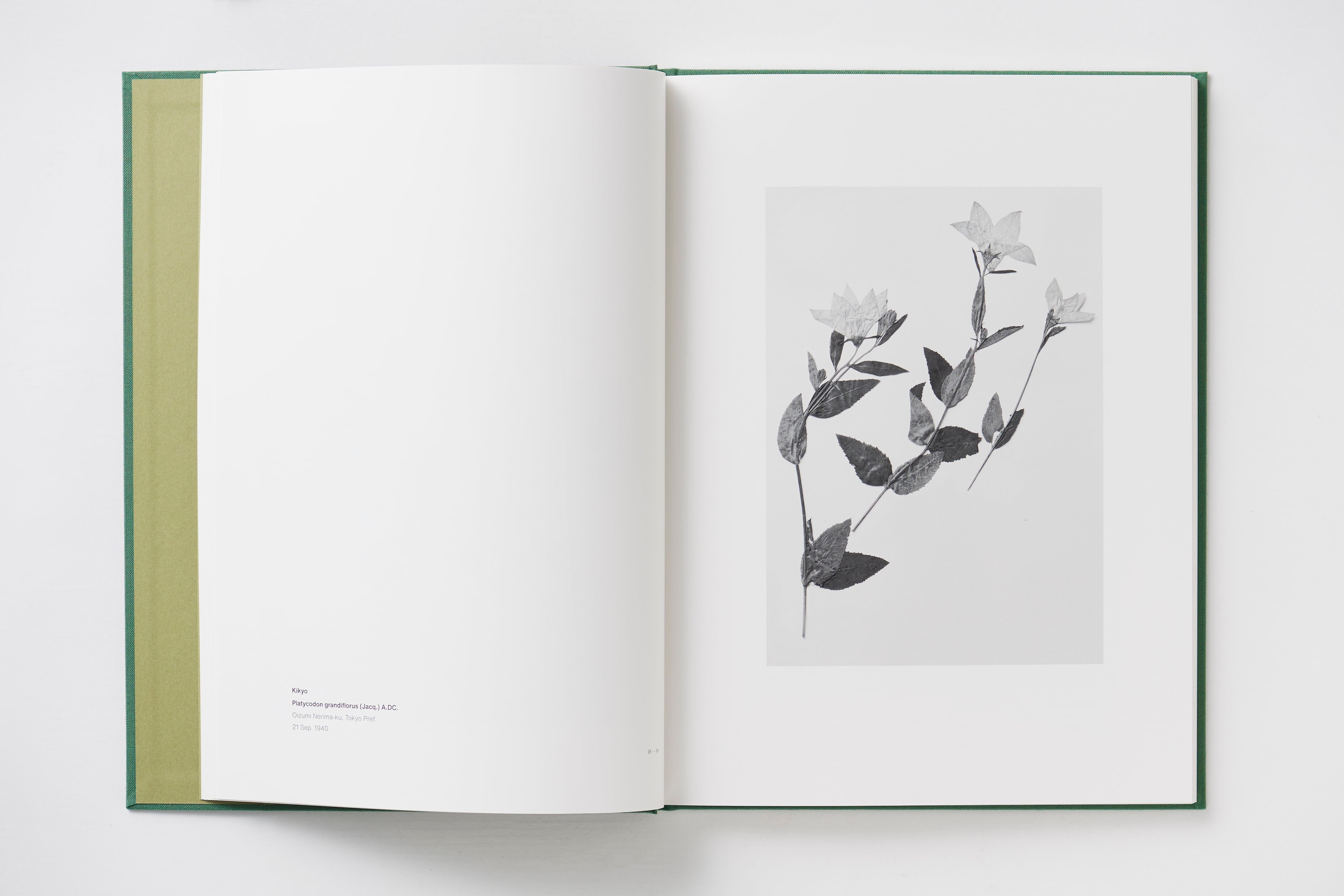 菅原一剛 写真集「MAKINO 植物の肖像」 | MAKINO Botanical Art Project