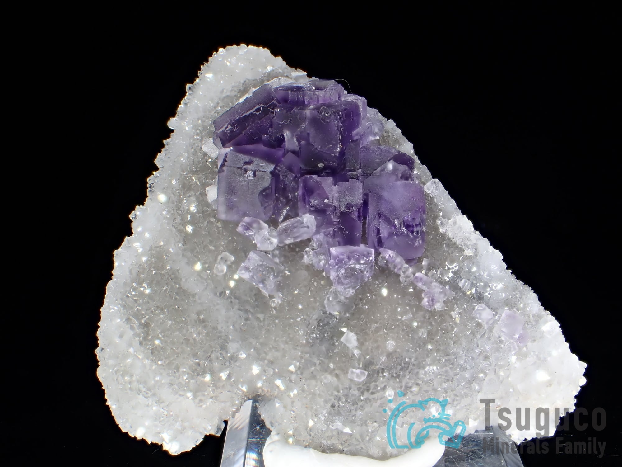 cf471b624470e84c89990cfbf4e780