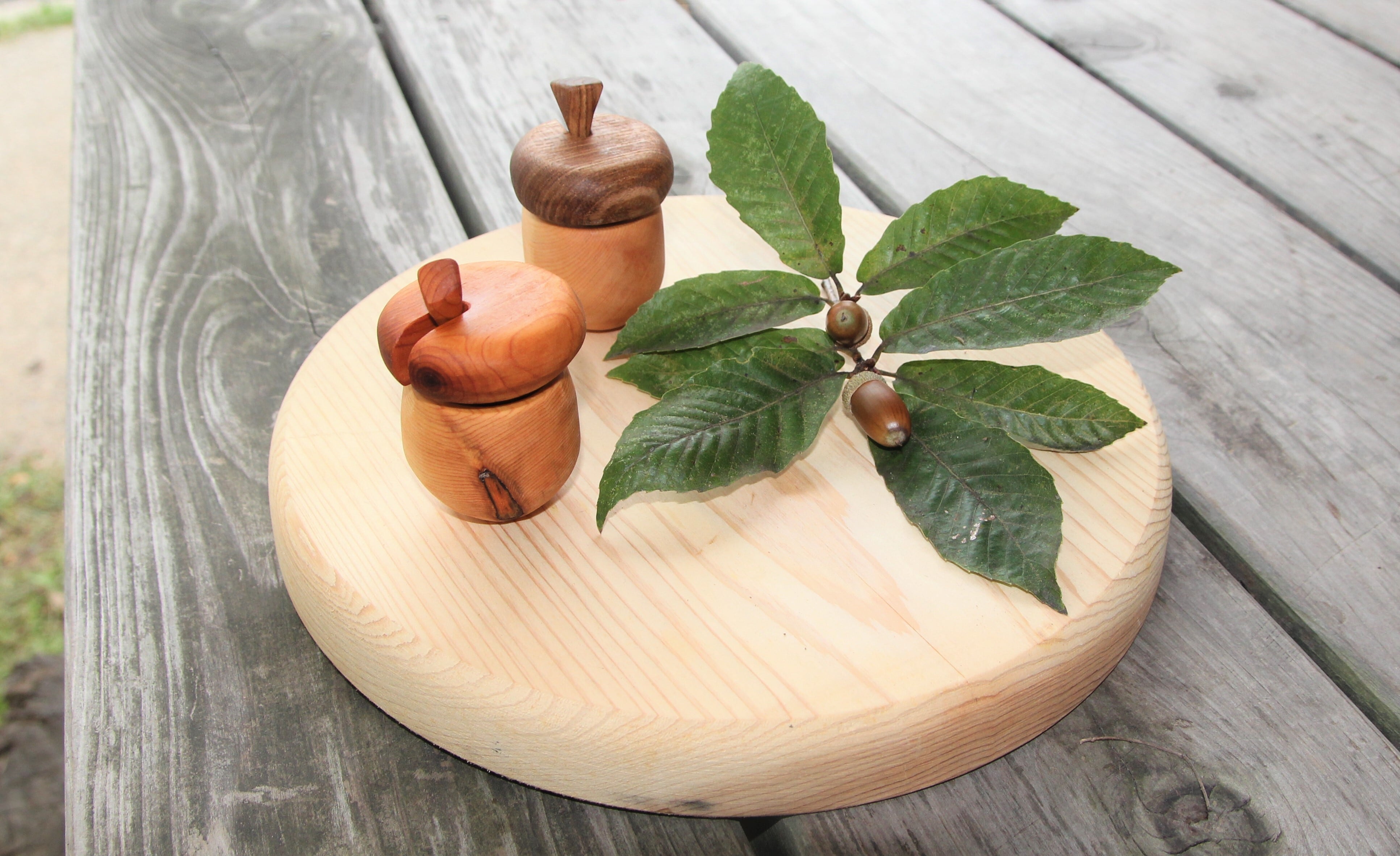 商談中！　◇どんぐりです◇ 　塩蔵品 どんぐりスパイス入れ | 木草舎ーもくそうやー