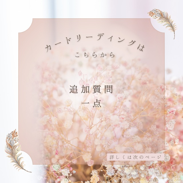 ✨追加質問一点✨