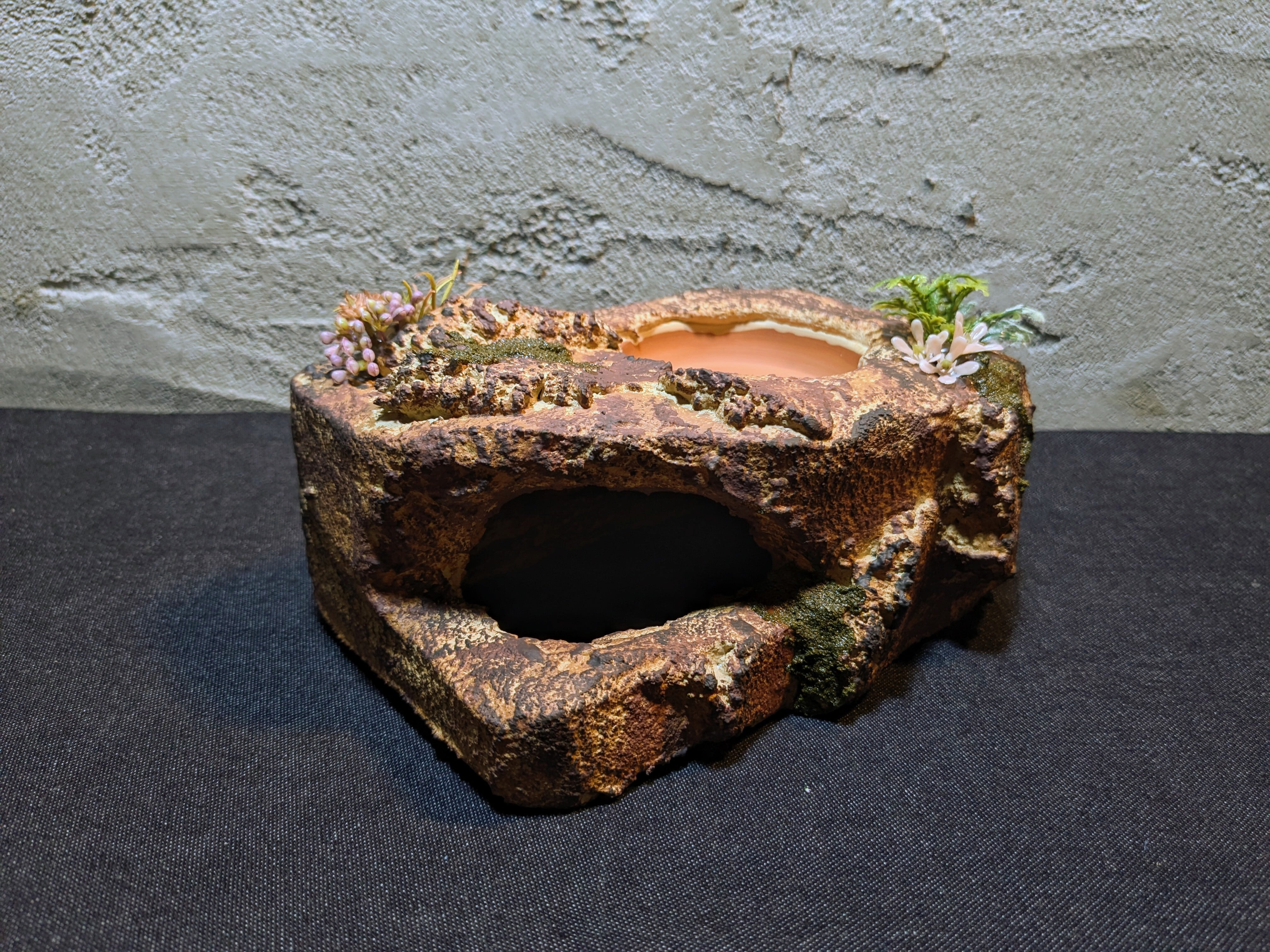 爬虫類用造形アート ともえ屋