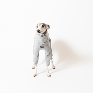 コットンロンパース2023　gray / イタグレ服