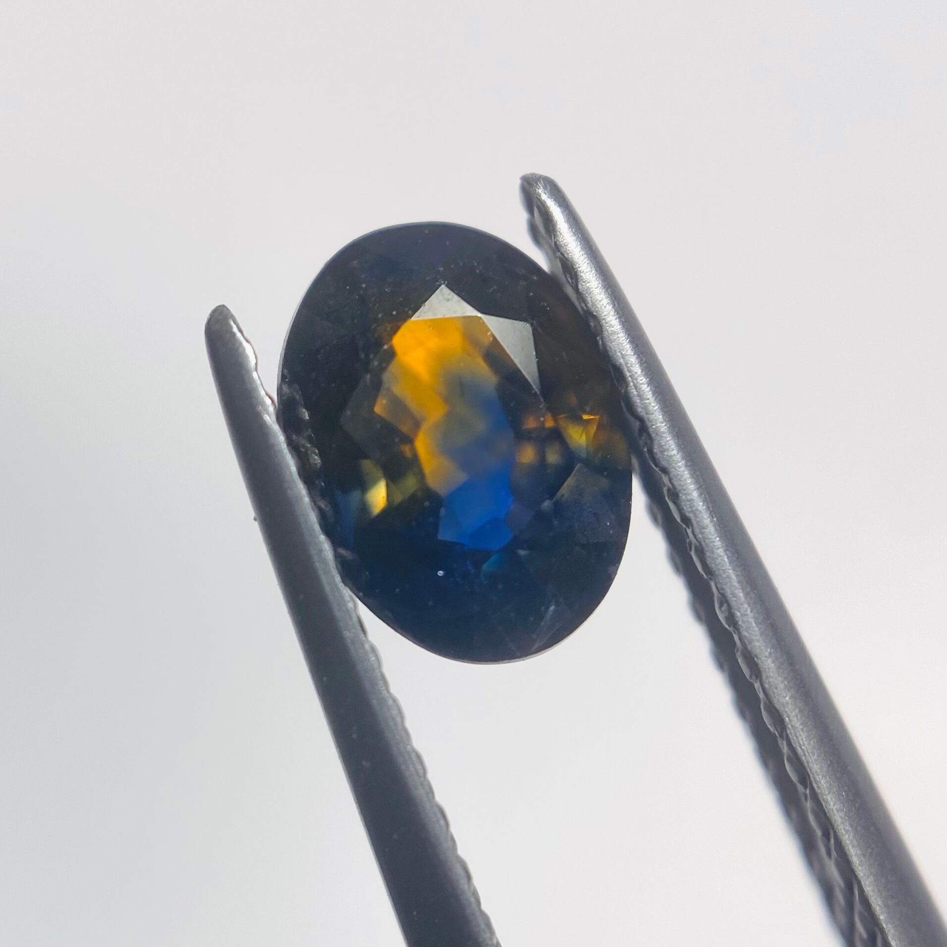 生の輝き　サファイア