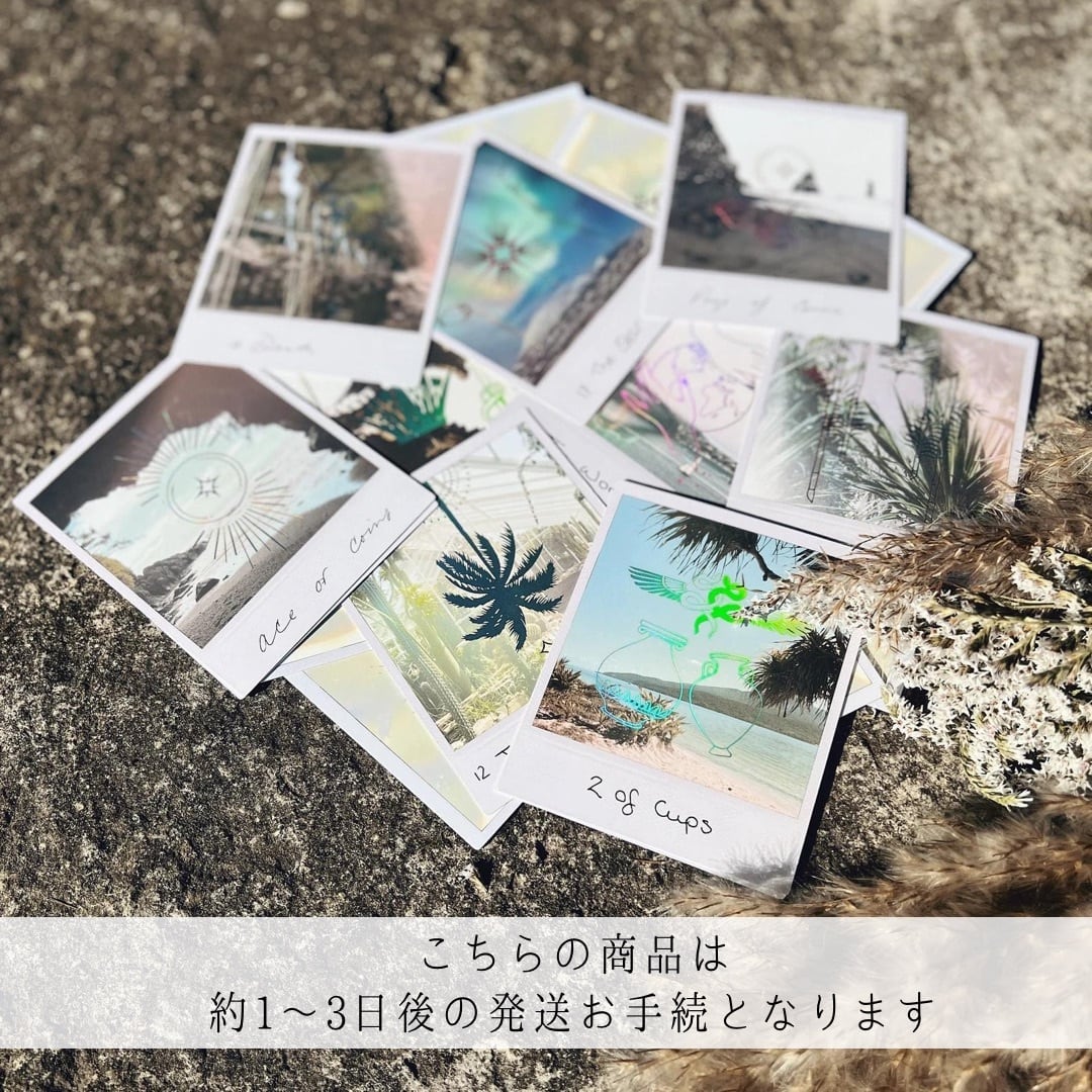 新作販売予定につき、現在停止】TRUE NORTH TAROT CARDS ◇ 真実の光 ...