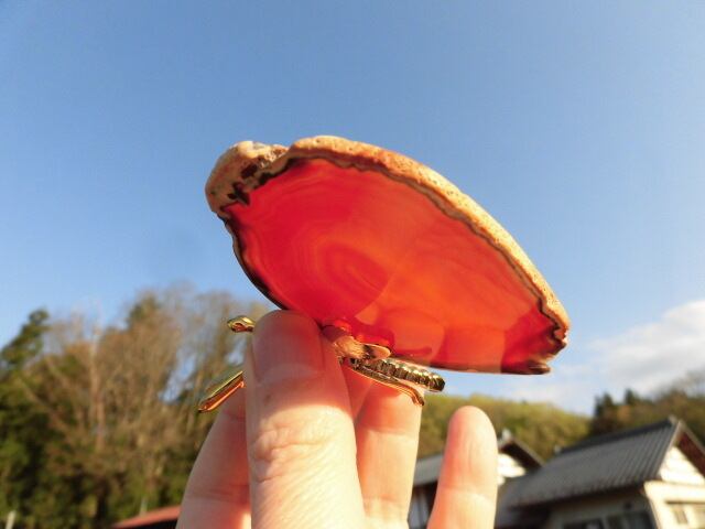 【瑪瑙】　ゴージャス蝶々　no.2