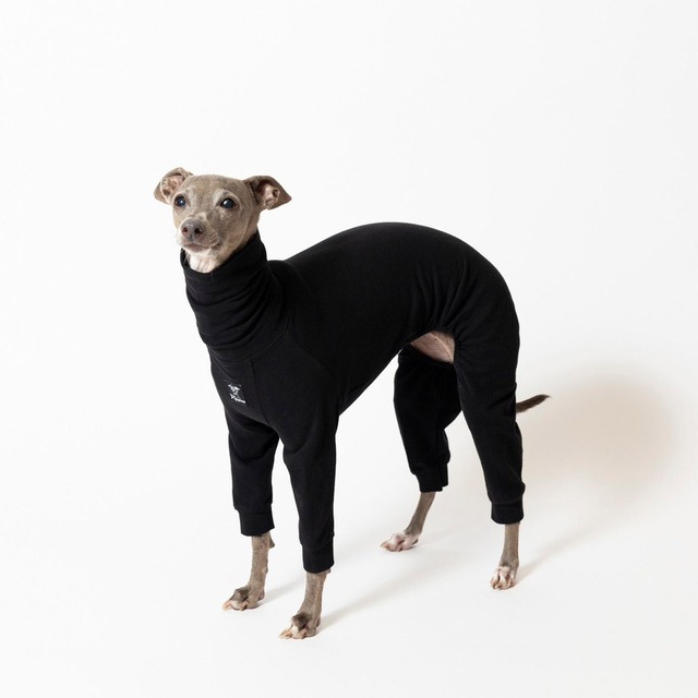 コットンロンパース2023　black / イタグレ服